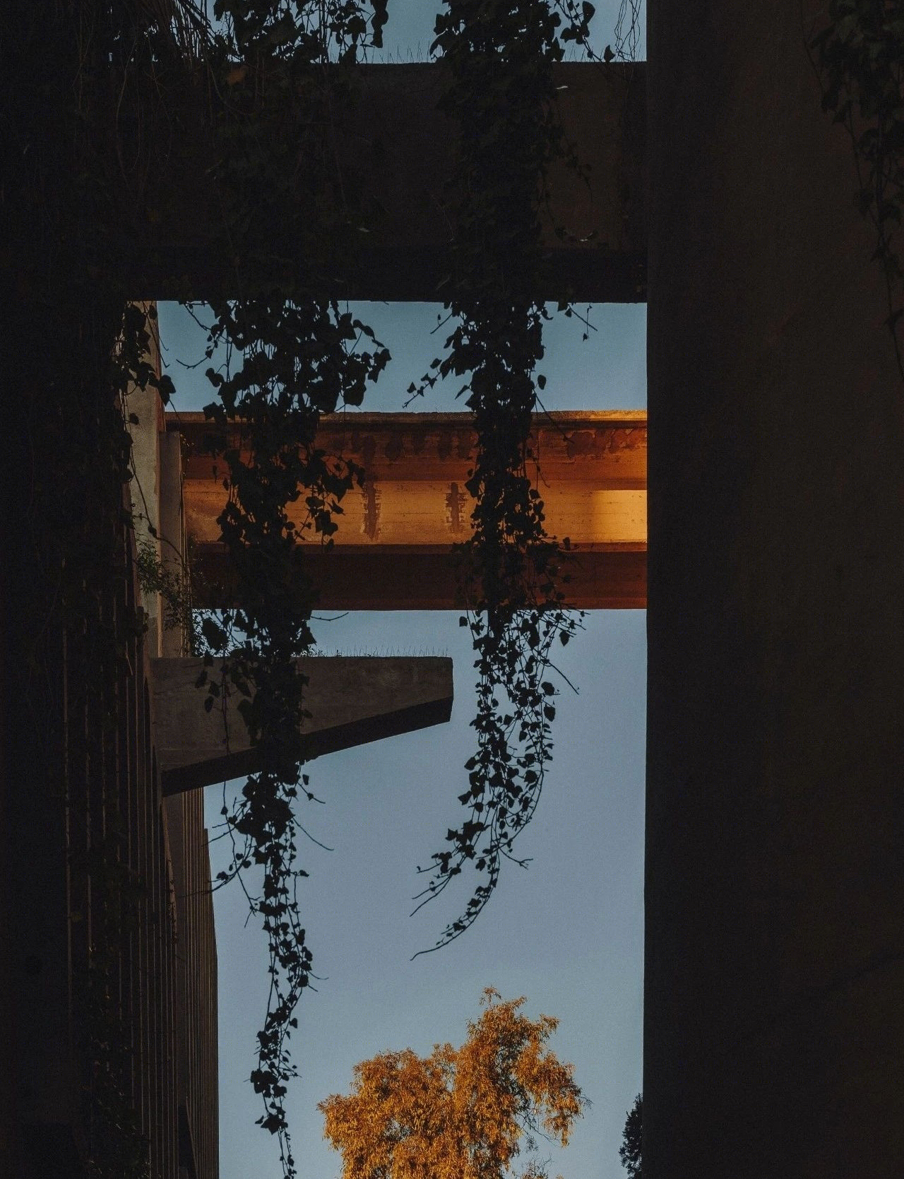 工厂-29