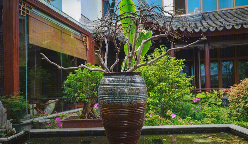 盘门景区别墅会所-37