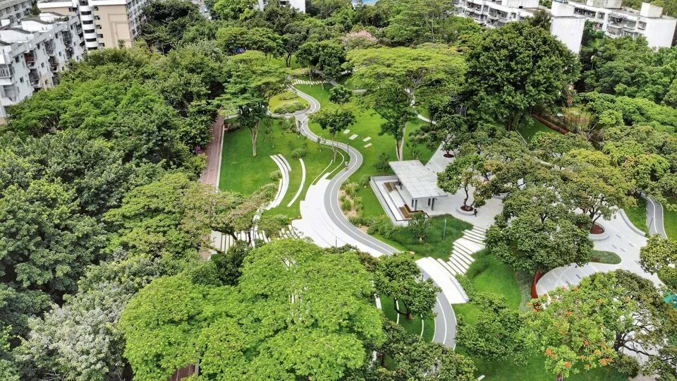 福田中康社区 | 56 棵荔枝树打造的多层次台地公园-12