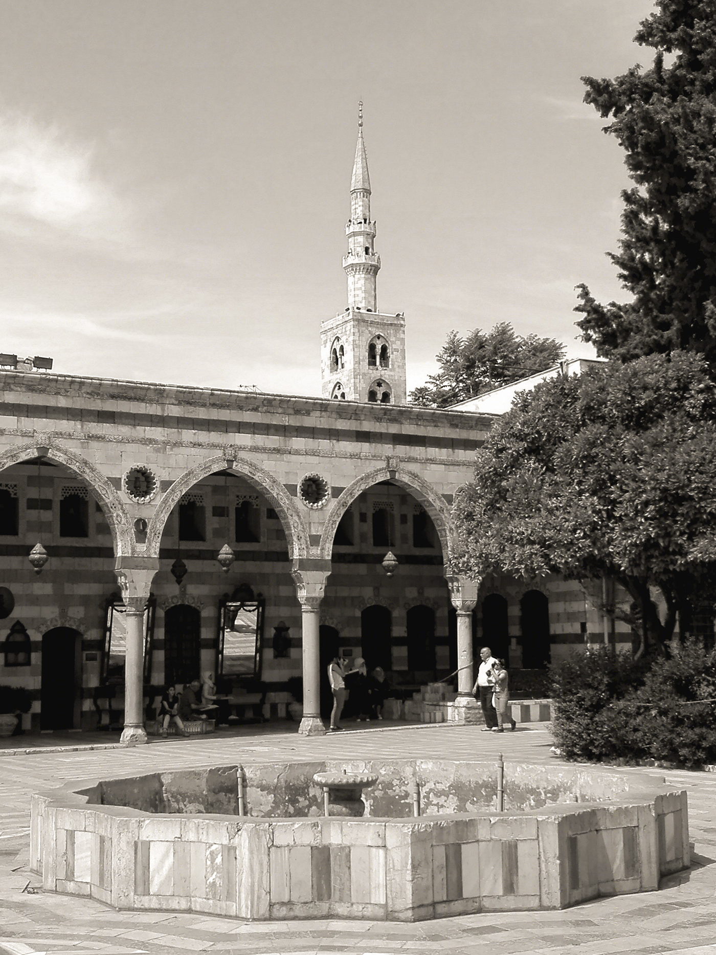 Anastasiya Gushchina丨公寓建筑丨Black And White Old Damascus-7