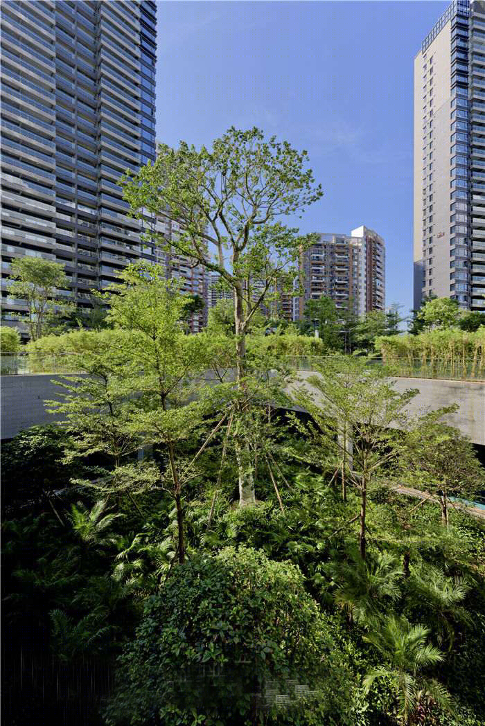 深圳蛇口海景住宅-45