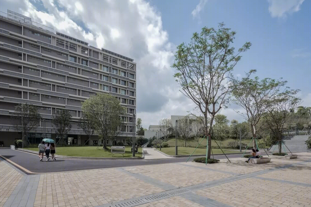 香港中文大学思廷学院-12