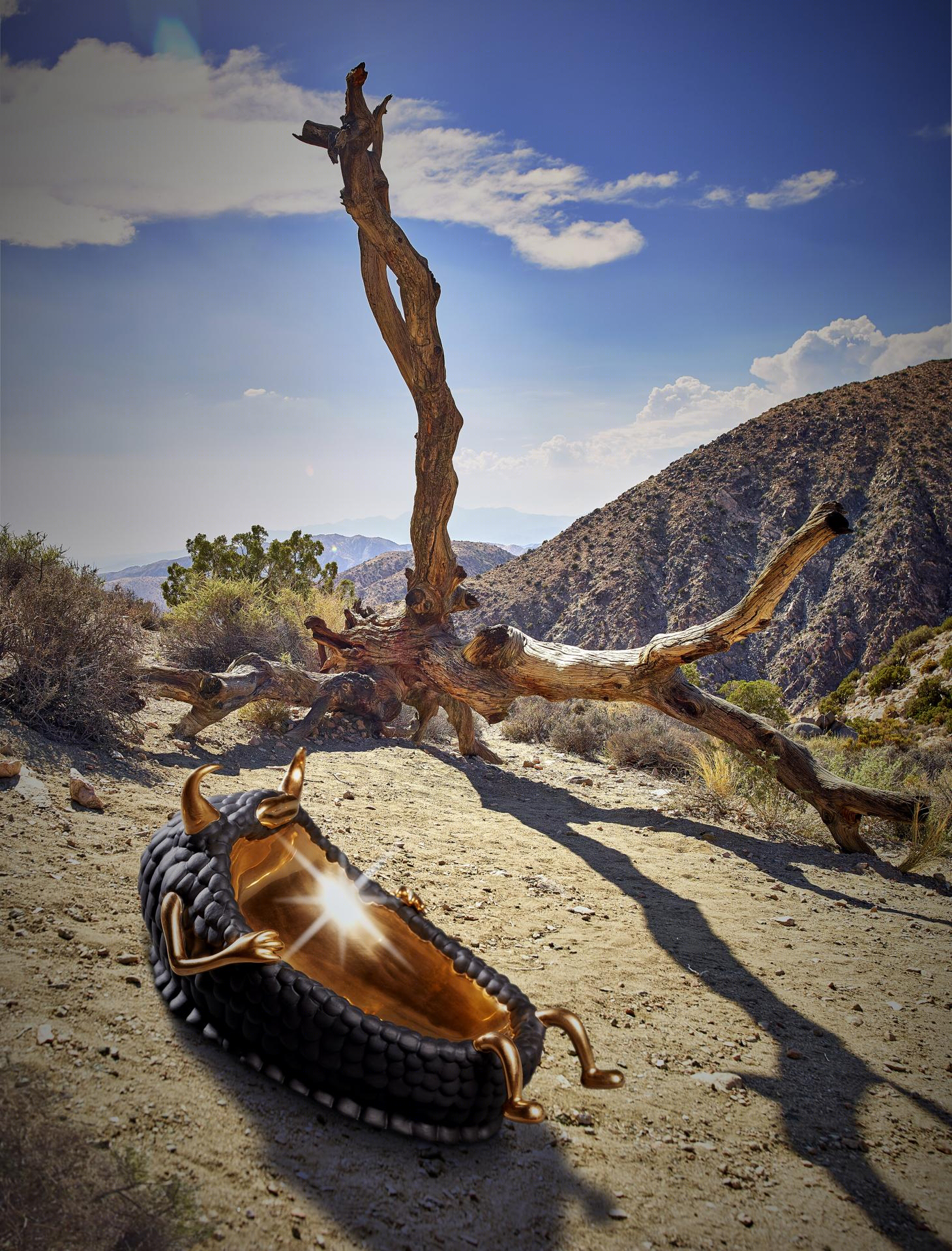 奇幻陶瓷 | Joshua Tree 中的 Haas L’Objet collection-18