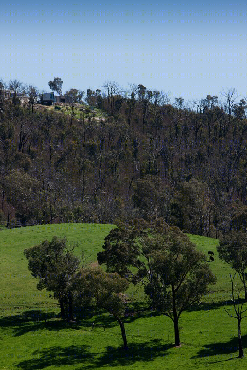 Christmas Hills House Clare Cousins-12