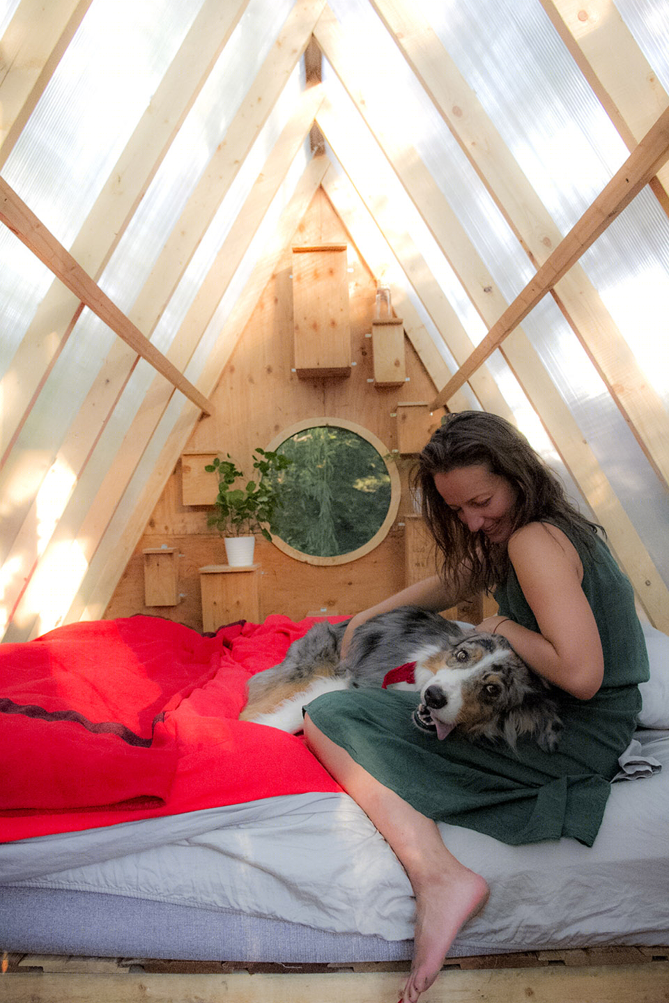 加拿大森林树梢鸟屋-19