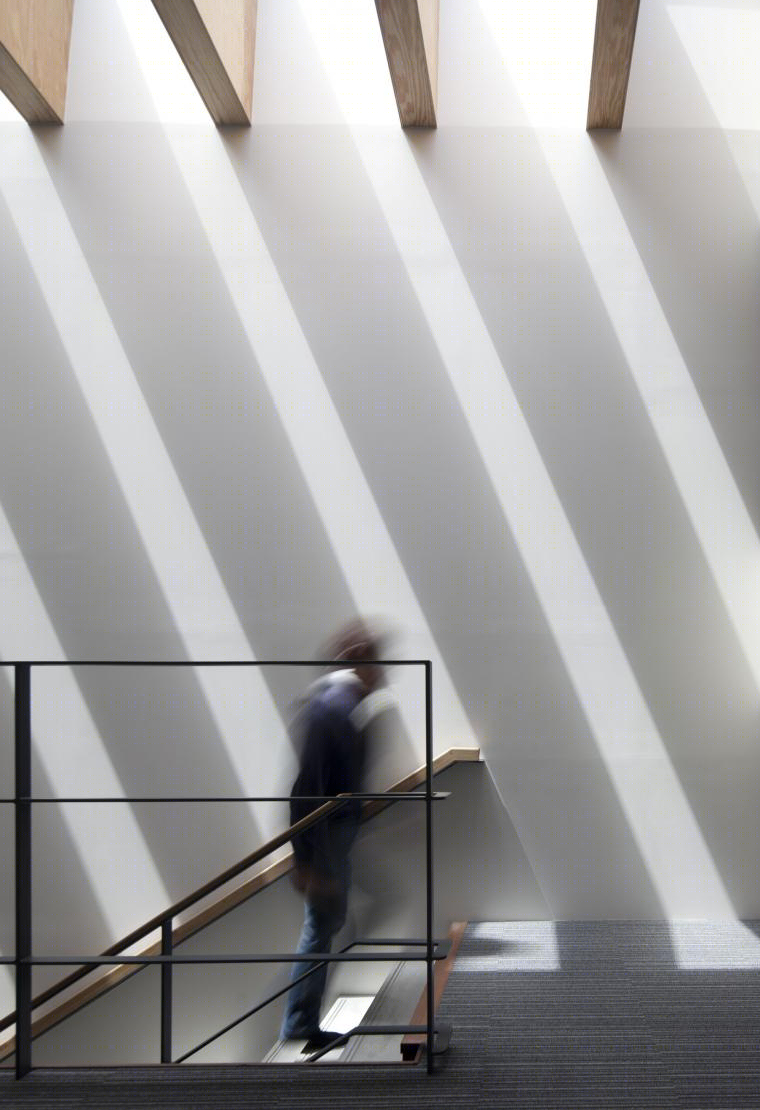 静冈柴鱼组合办公室丨Mizuno architecture design association-29
