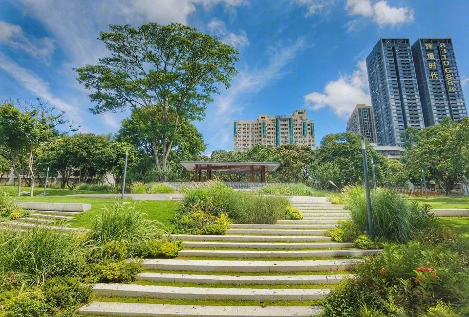 福田中康社区 | 56 棵荔枝树打造的多层次台地公园-22