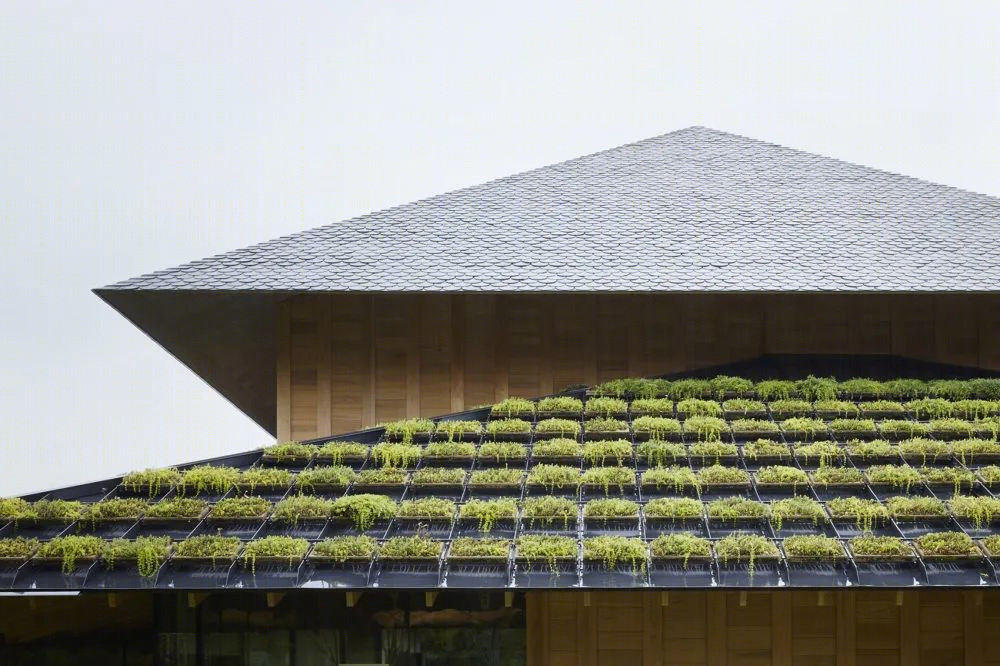 早稻田大学村上春树图书馆丨日本东京丨隈研吾建筑都市设计事务所-103