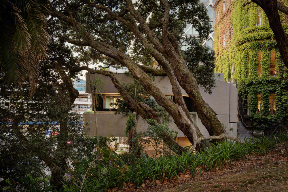 奥克兰 Bankside 酒店丨新西兰奥克兰丨Cheshire Architects-11