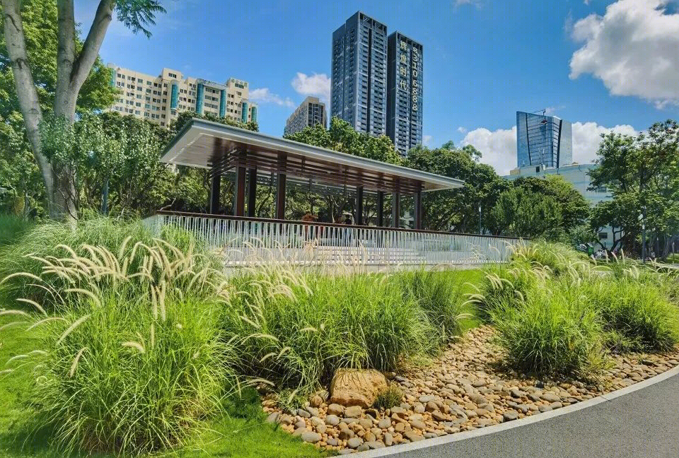 福田中康社区 | 56 棵荔枝树打造的多层次台地公园-23