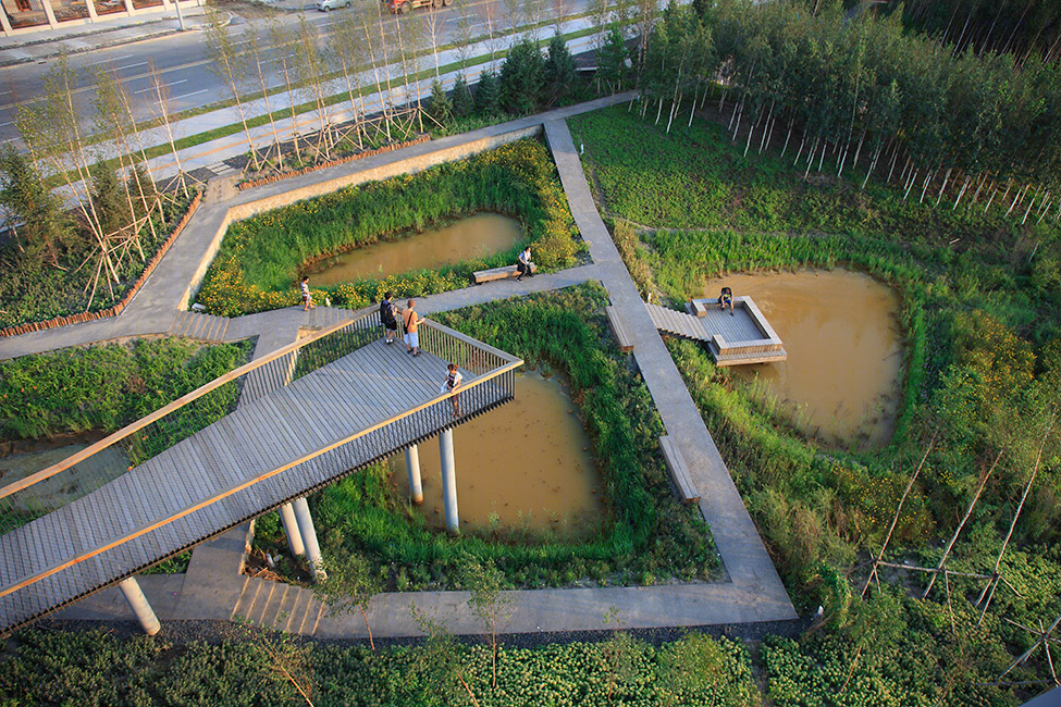 哈尔滨群力国家城市湿地-10