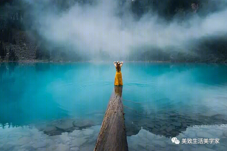 轻奢现代风住宅设计,东方美学与西方文化的完美结合-4