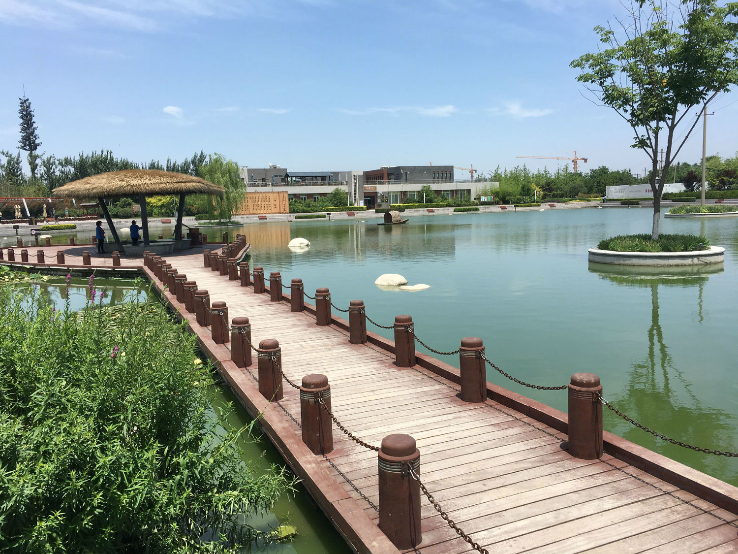 沣河滨河公园-73