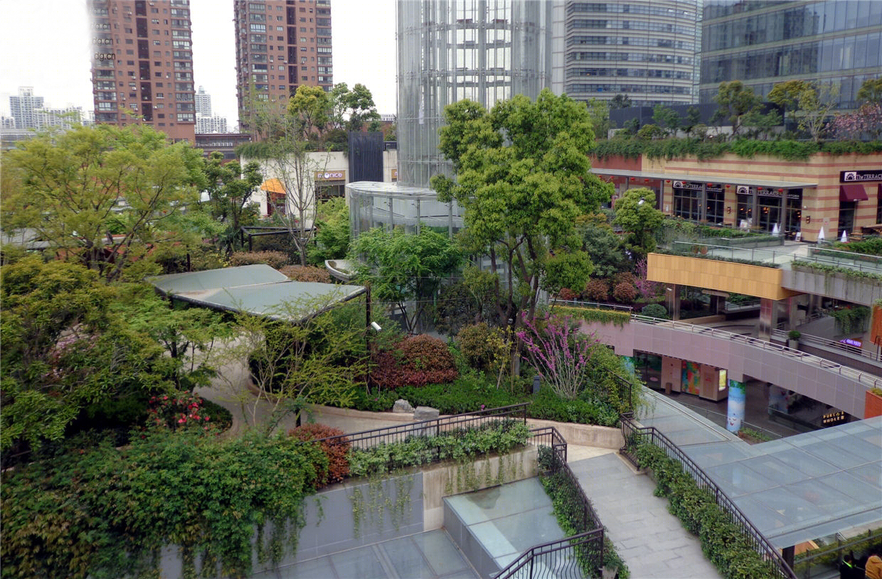 金虹桥国际中心屋顶花园景观-17