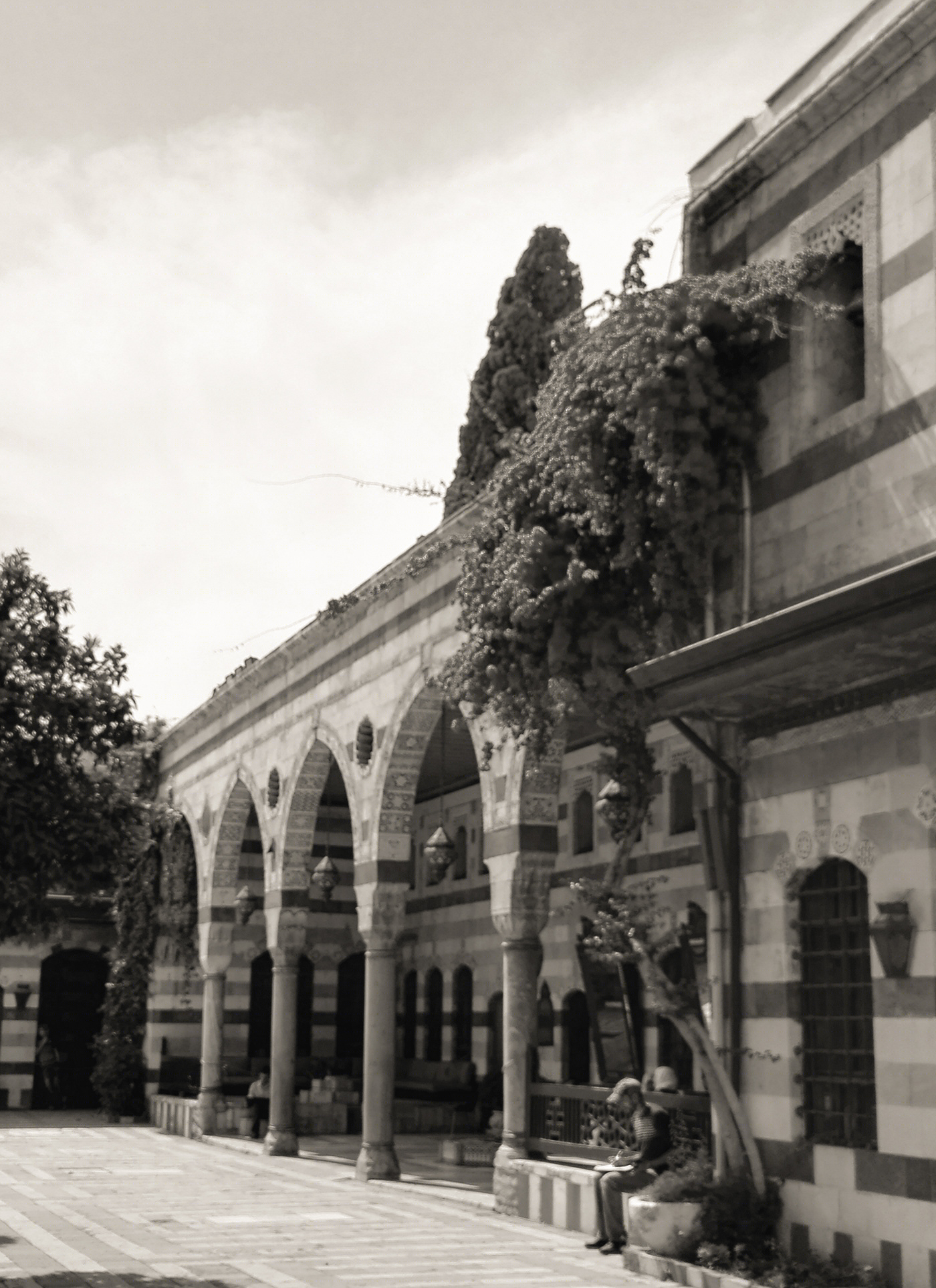 Anastasiya Gushchina丨公寓建筑丨Black And White Old Damascus-8