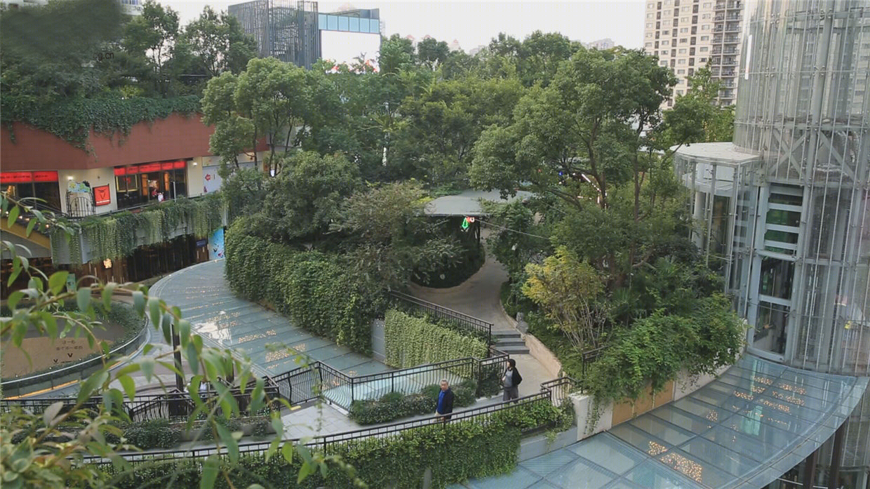 金虹桥国际中心屋顶花园景观-18