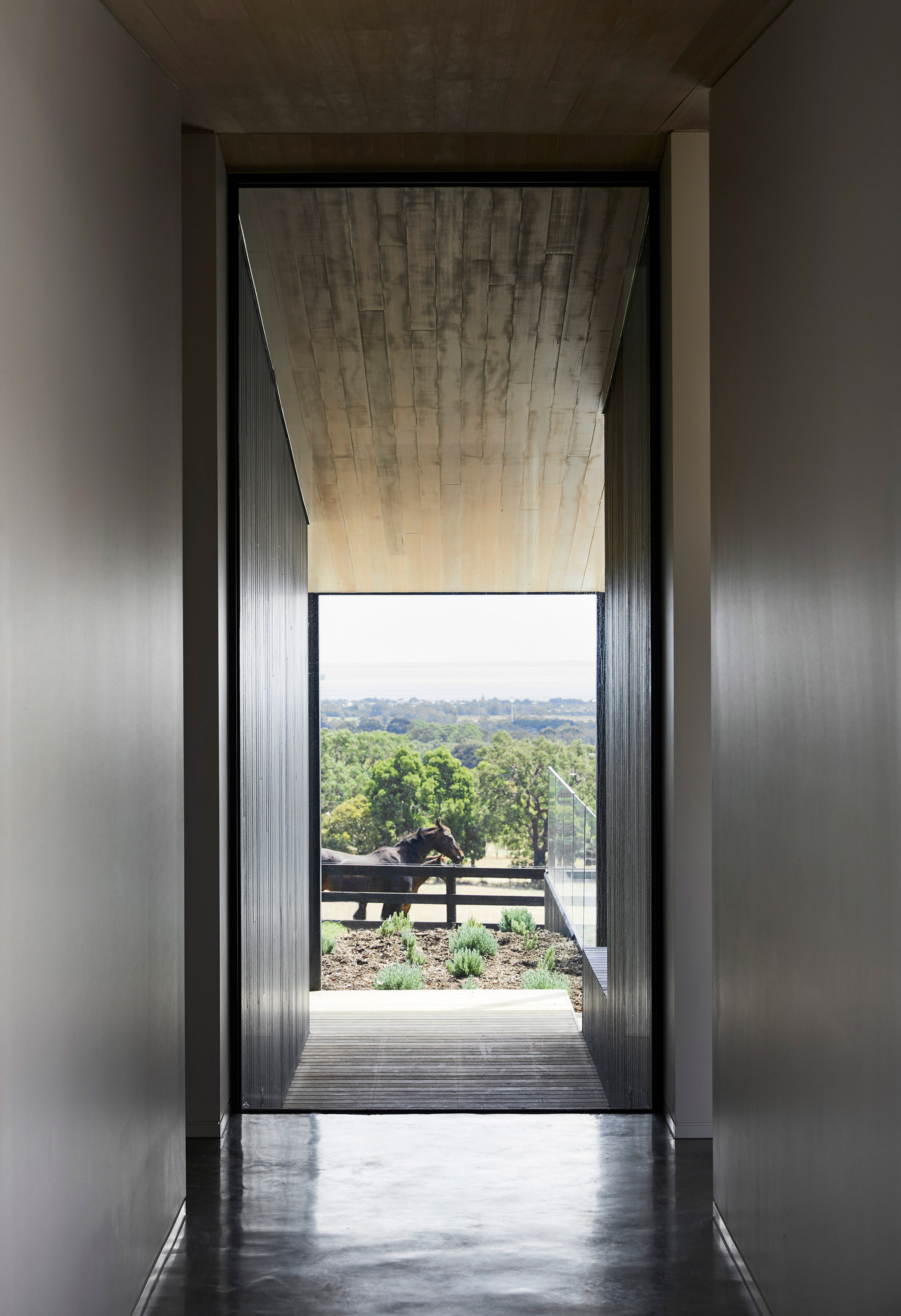 澳洲农庄现代居 | Red Hill Farm House-3