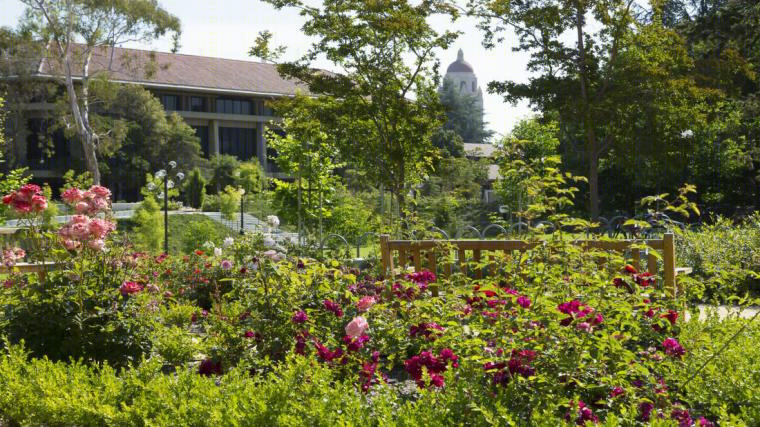 美国斯坦福大学Terman公园-14