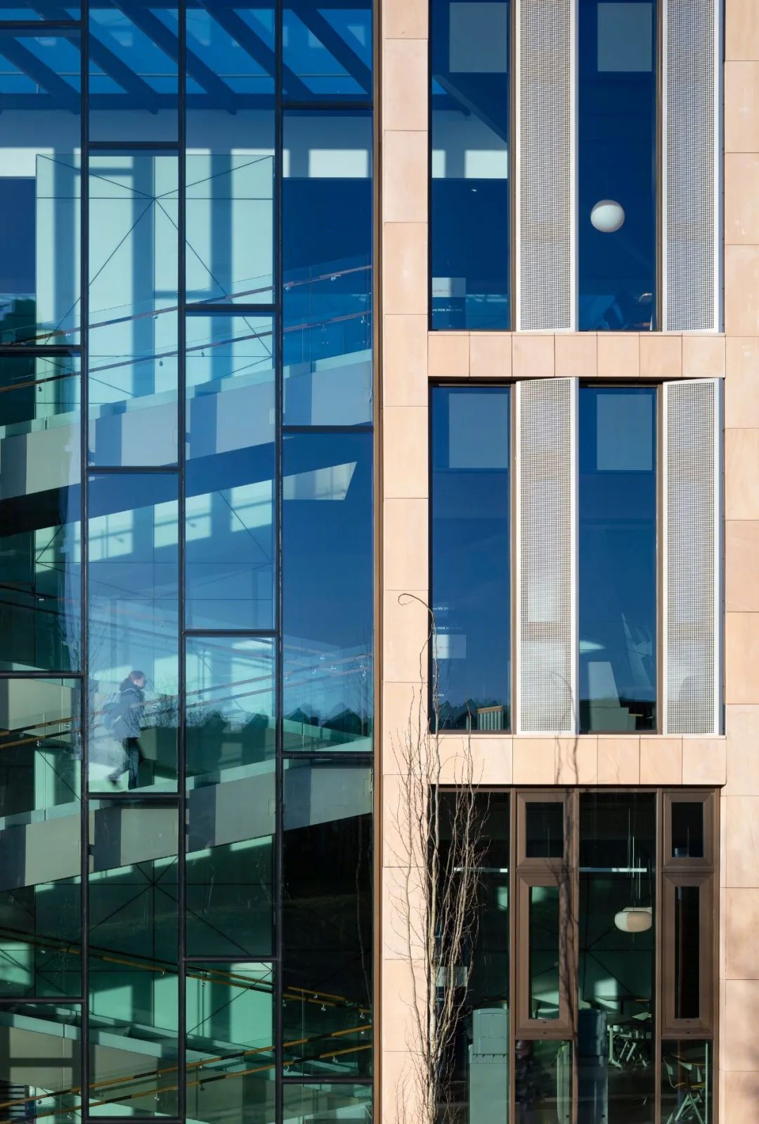 伯明翰大学教学楼丨英国丨BDP建筑工作室-16