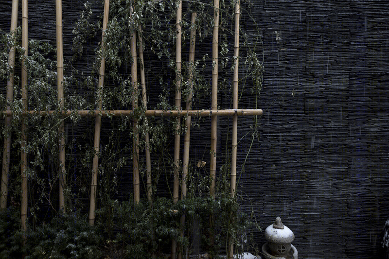 黑鲸-9