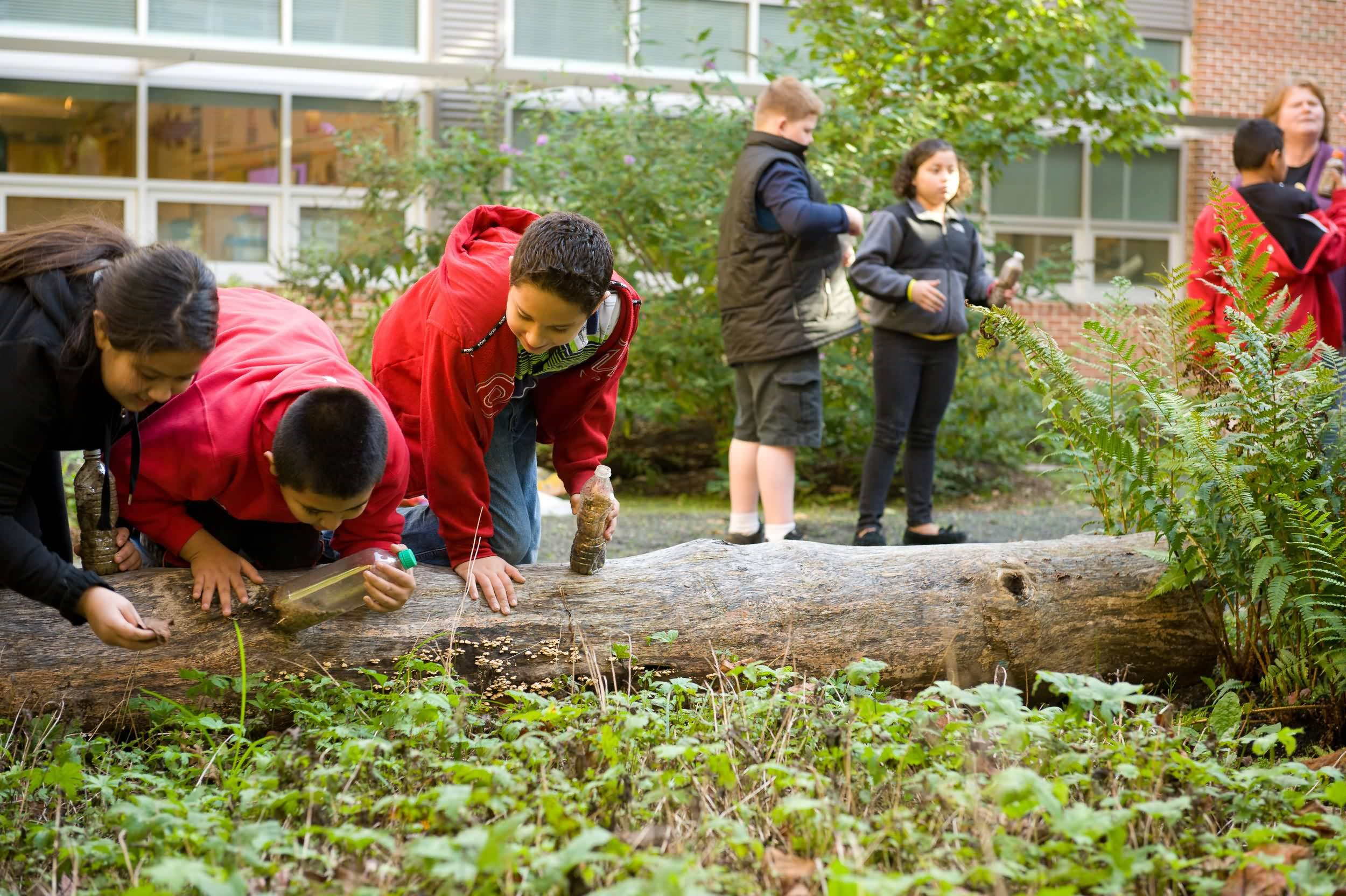 马纳萨斯小学公园-15