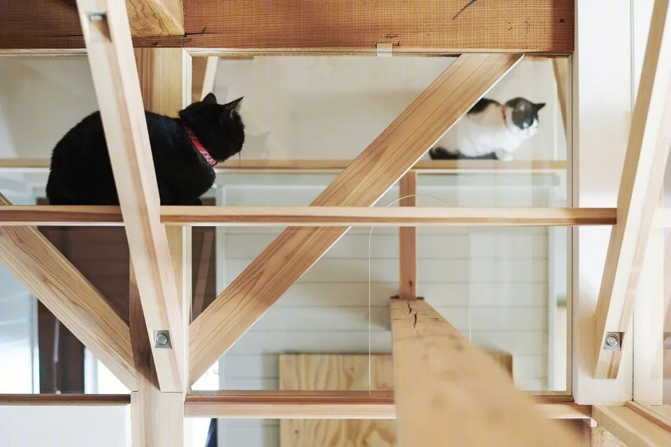 猫步抗震家-16