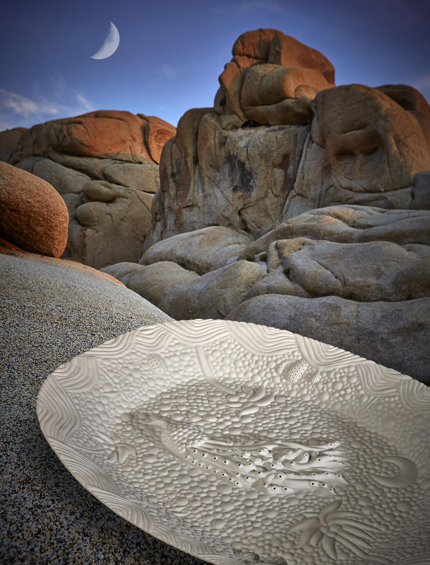 奇幻陶瓷 | Joshua Tree 中的 Haas L’Objet collection-24