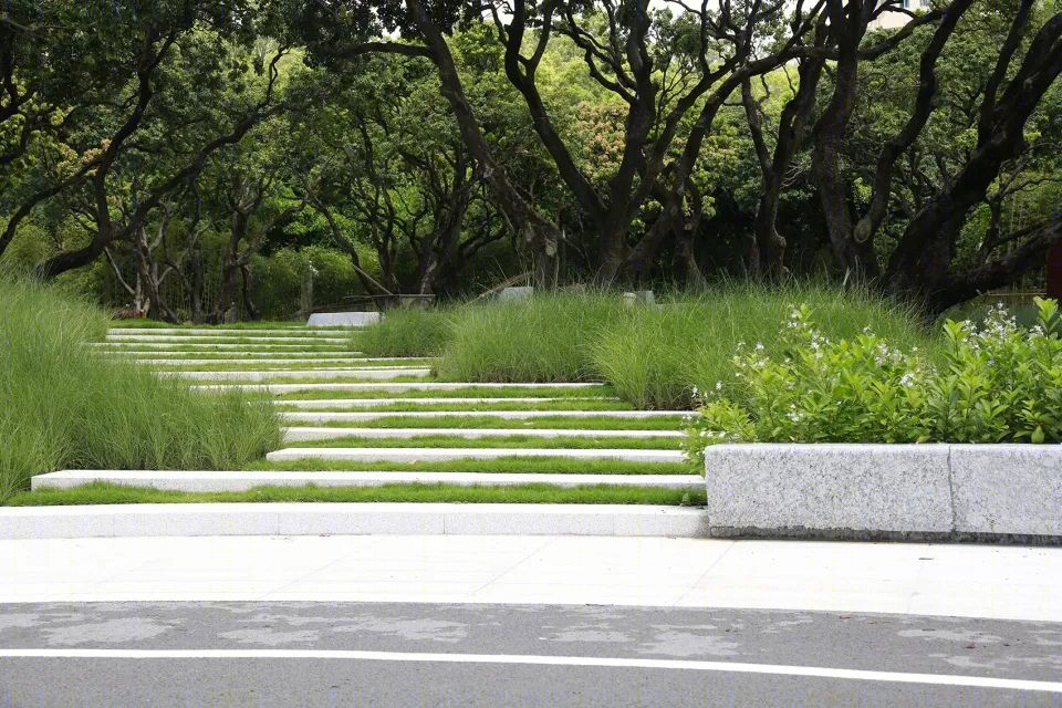 福田中康社区 | 56 棵荔枝树打造的多层次台地公园-25