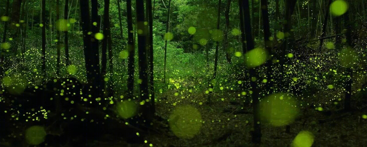 “草地里的萤火虫” | 广州 45 平米童趣美术培训室设计-14