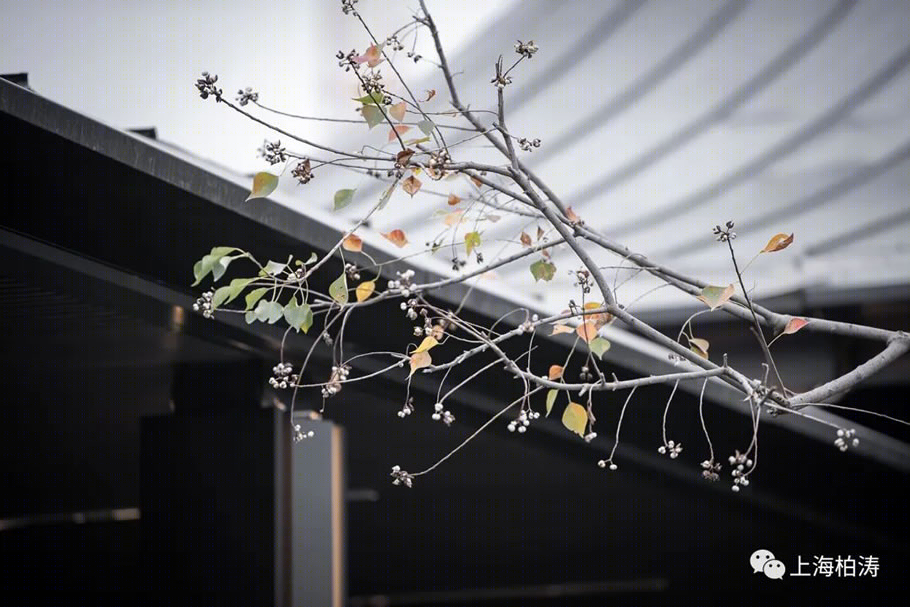 厦门联发正荣·臻华府丨中国厦门丨PTA上海柏涛-73