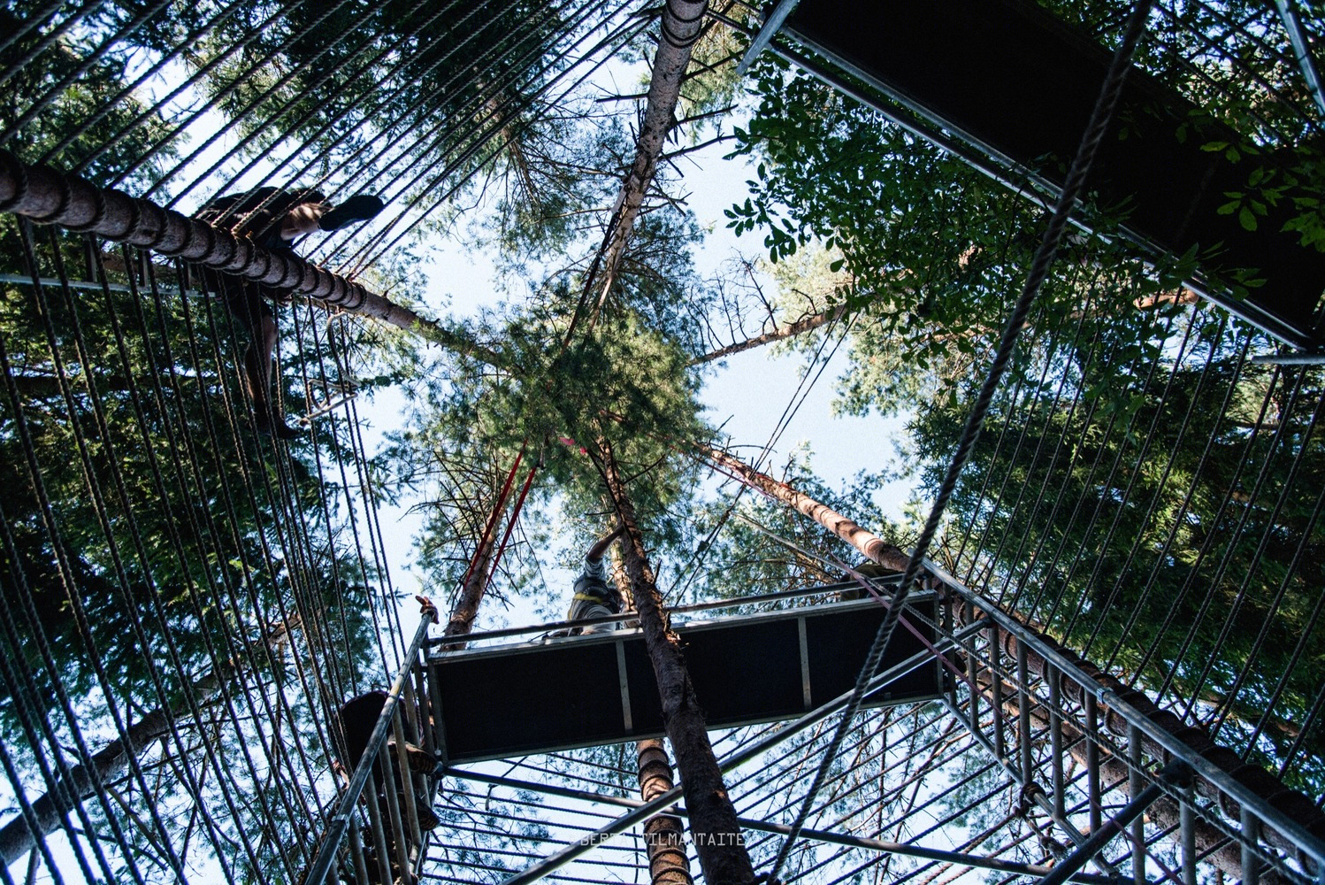 立陶宛森林寺庙景观-16