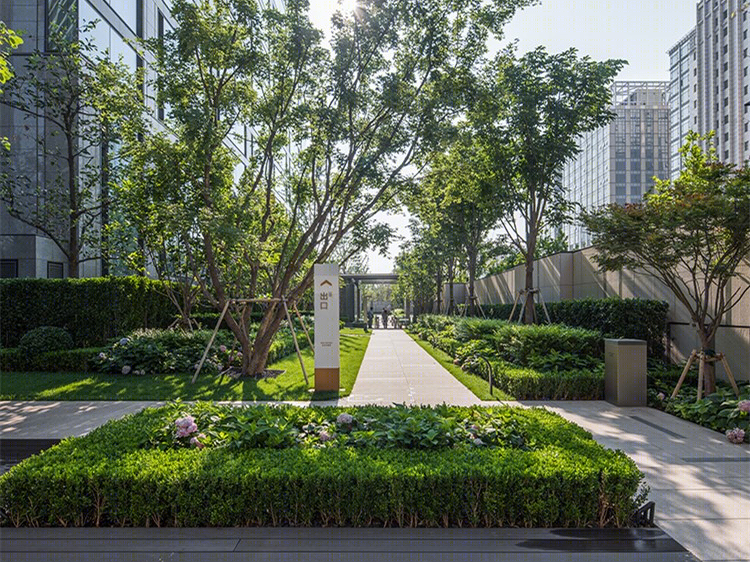 使馆壹号院-2