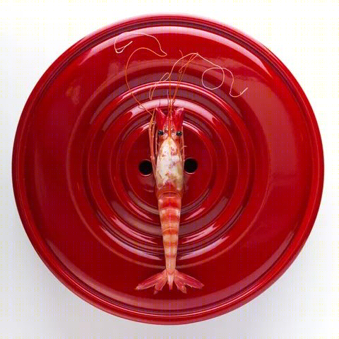 马德里丽兹文华东方酒店华丽回归，翻新后客房清新欧式-66