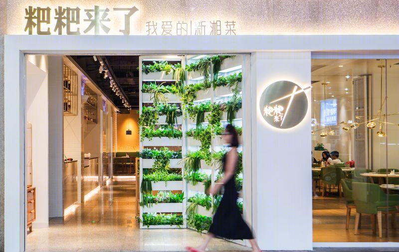 粑粑来了丨中国深圳-1