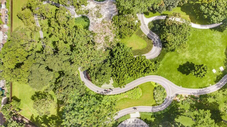 福田中康社区 | 56 棵荔枝树打造的多层次台地公园-30