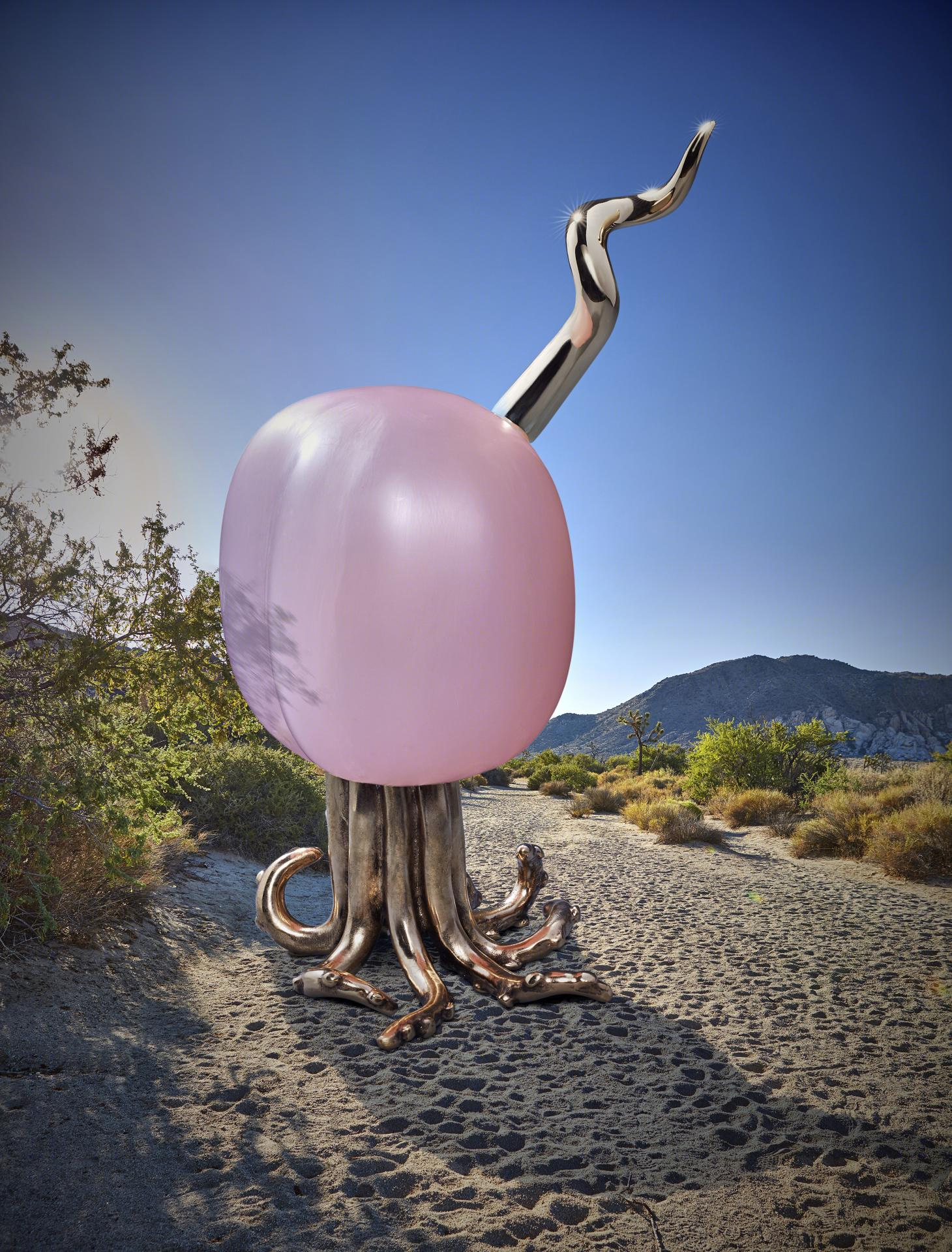 奇幻陶瓷 | Joshua Tree 中的 Haas L’Objet collection-26