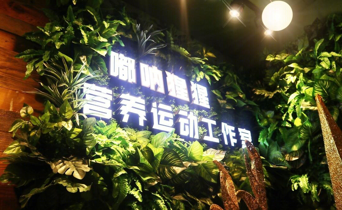 绿色森系,小空间大设计——打造活力四溢的健身空间-0