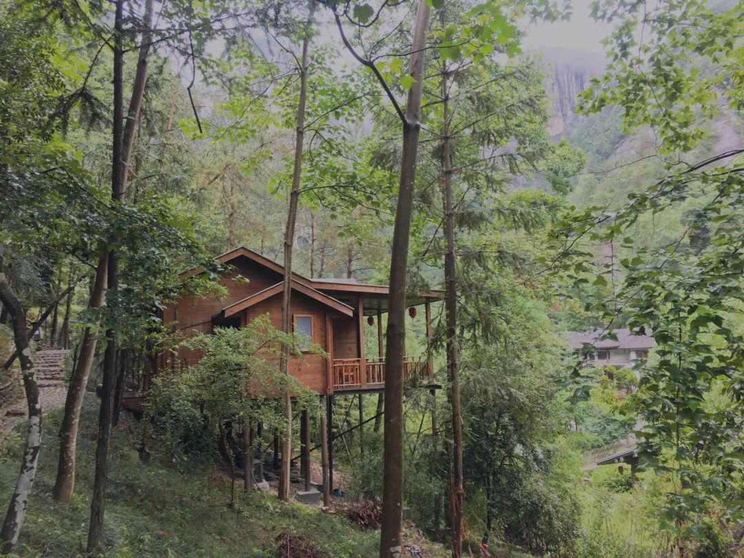 永嘉百丈瀑布之旅——清欢之始,自然之美-10