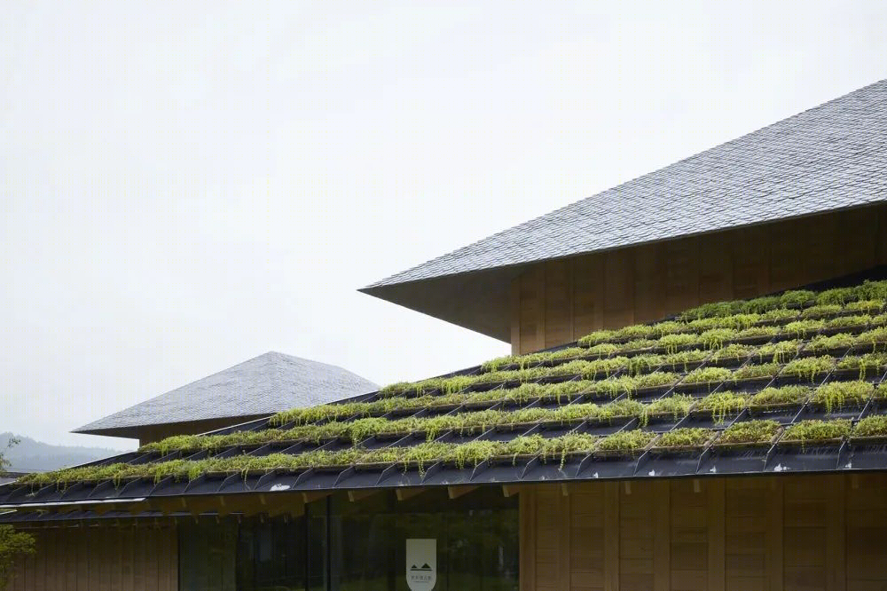早稻田大学村上春树图书馆丨日本东京丨隈研吾建筑都市设计事务所-109