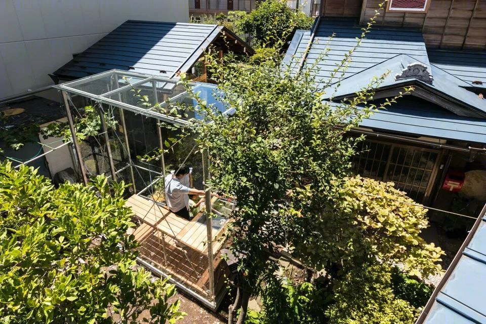 野性新生活 日本历史住宅翻新-12