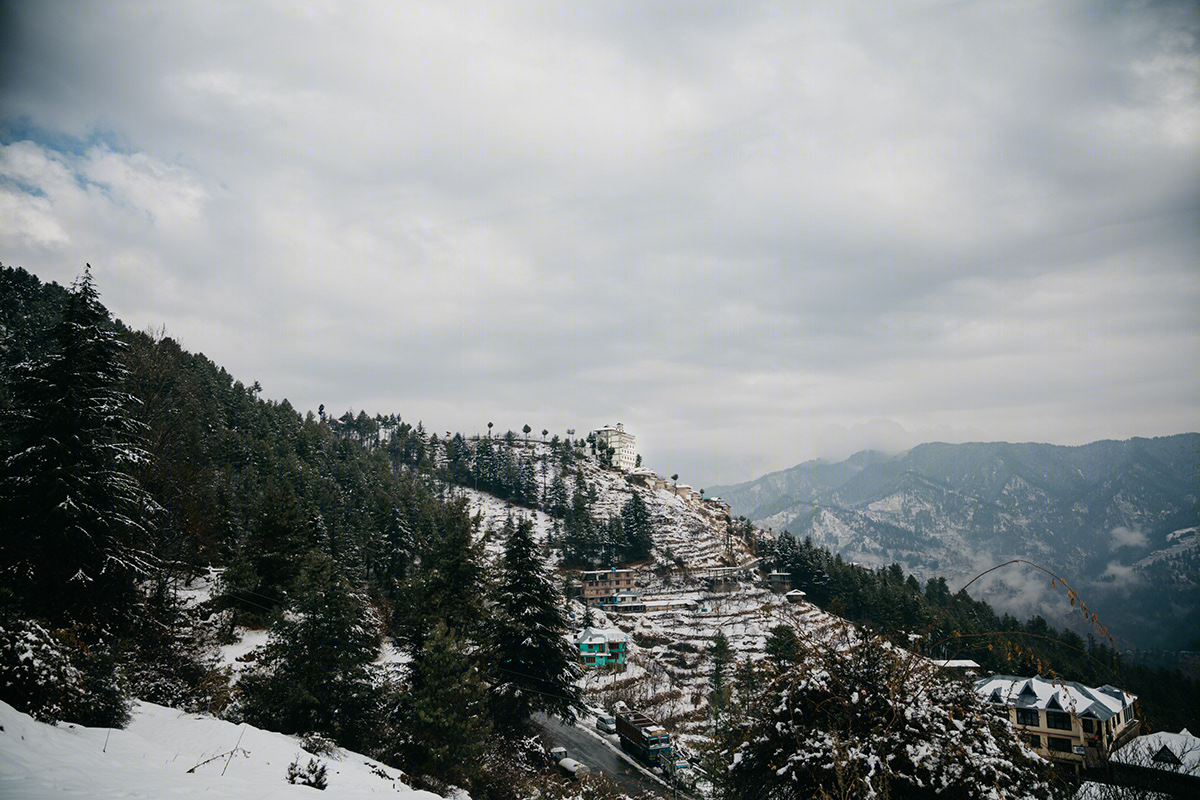 Hill Top Resorts, Shimla-9