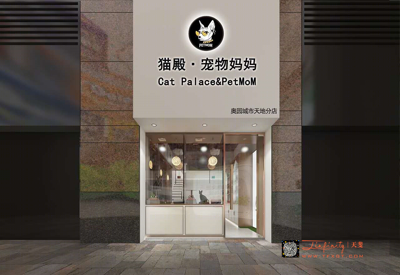 猫店-5