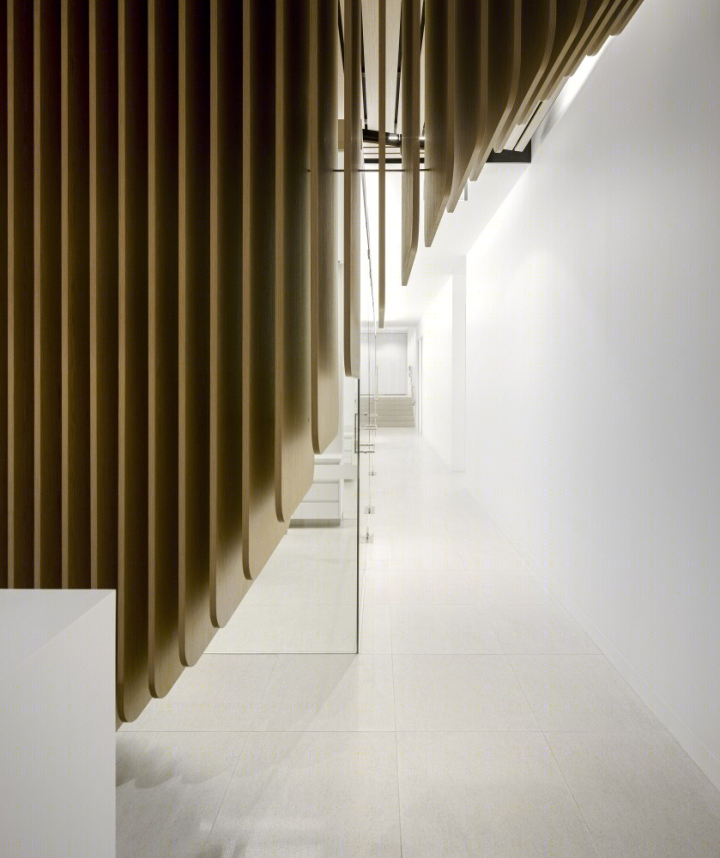 澳大利亚牙科诊所丨Pedra Silva Architects-20