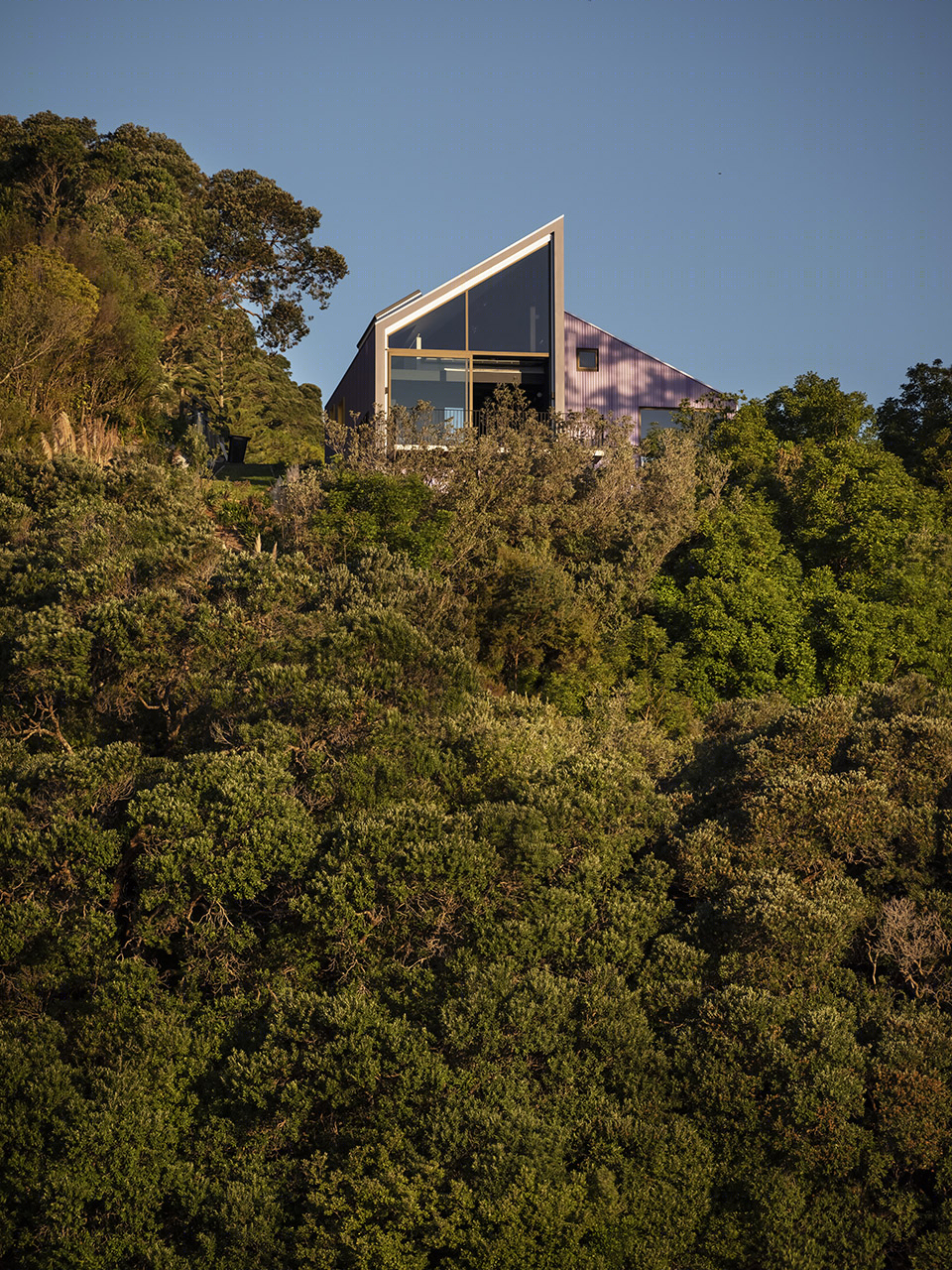 Casper's House · 蓝紫色新西兰度假小屋丨Glamuzina Architects-51