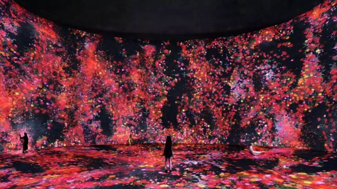 上海油罐艺术中心 teamLab 大展 梦幻水粒子世界-24