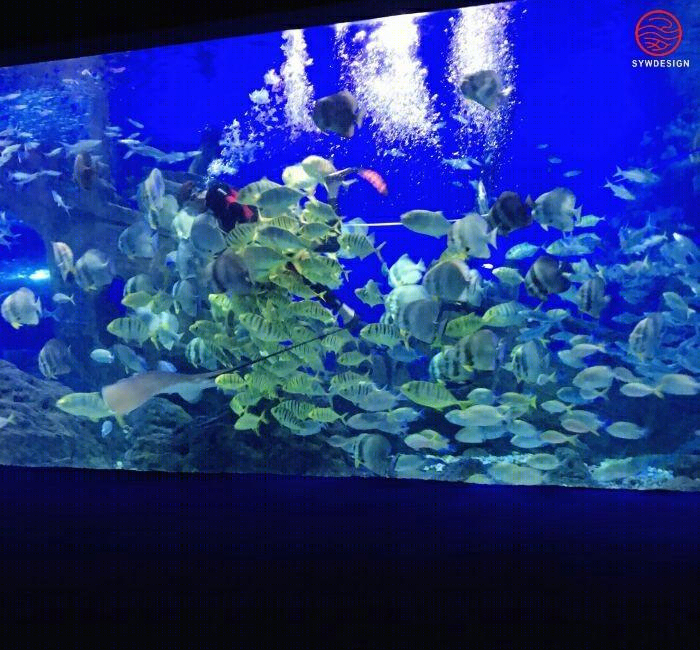 
海洋馆展示工程（海洋区） -1