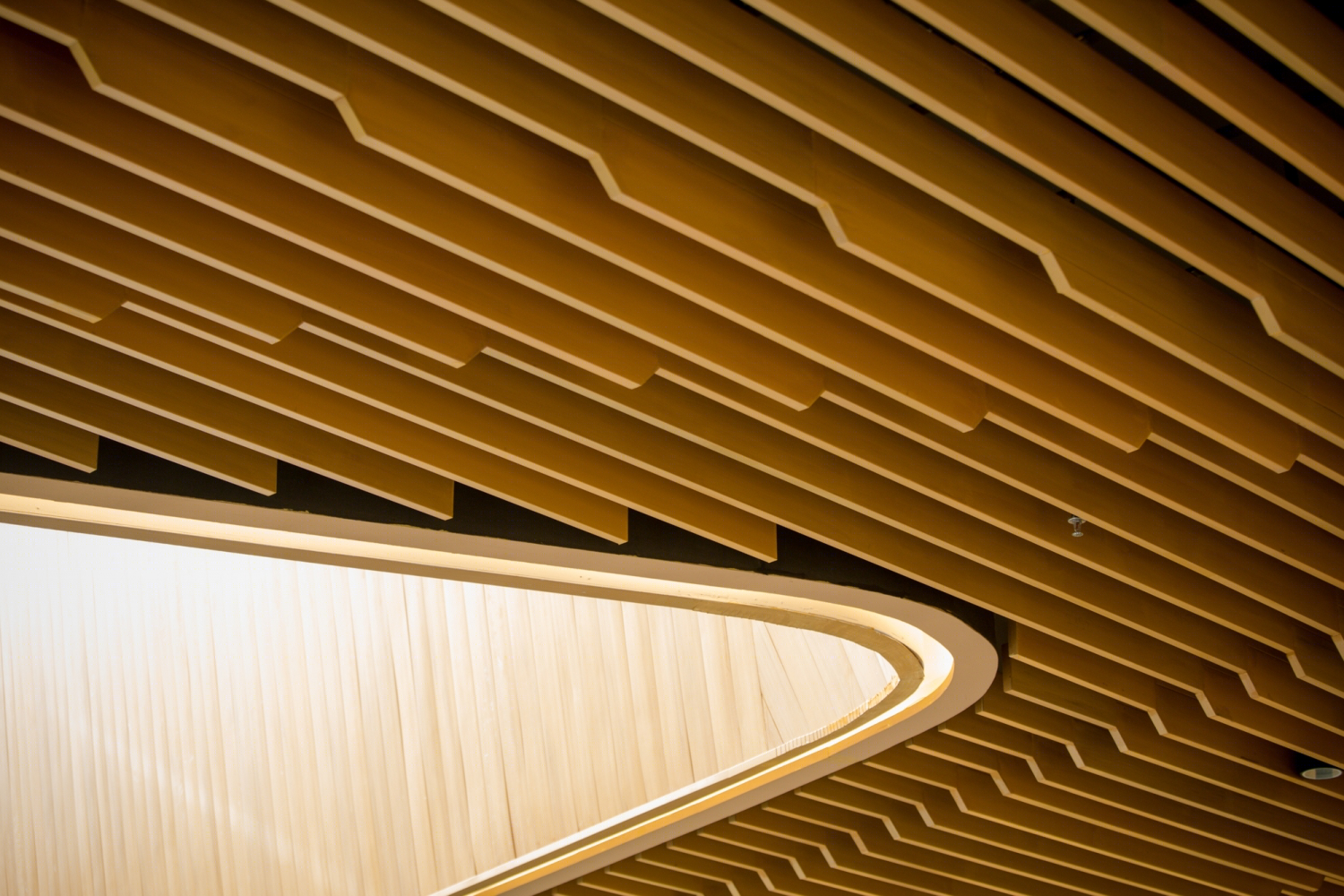 The Groove购物中心丨Synthesis Design + Architecture-33