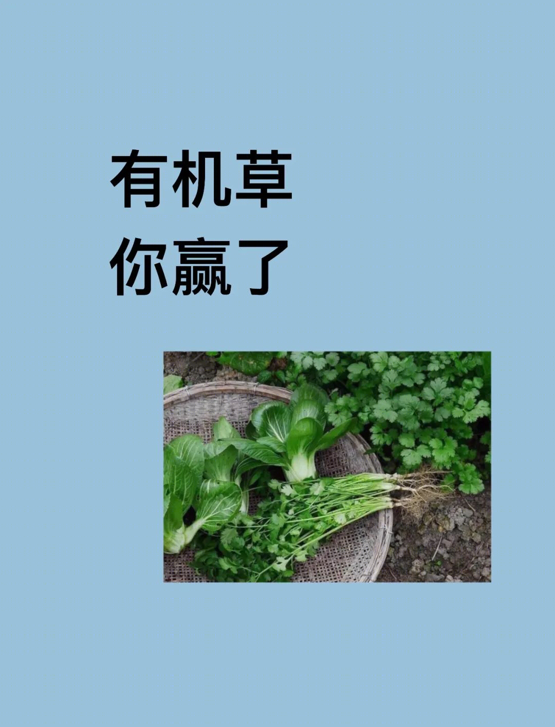 宝格丽酒店的华丽舞台——女性下午茶的空间美学-30