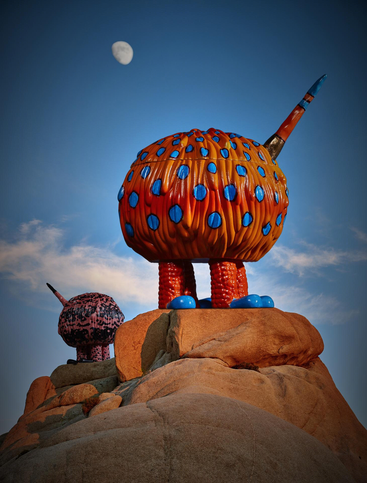 奇幻陶瓷 | Joshua Tree 中的 Haas L’Objet collection-32