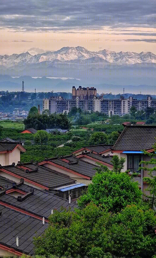 成都不大酒店丨中国成都丨元太设计-10